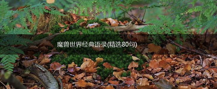 魔兽世界经典语录(精选80句),第1张