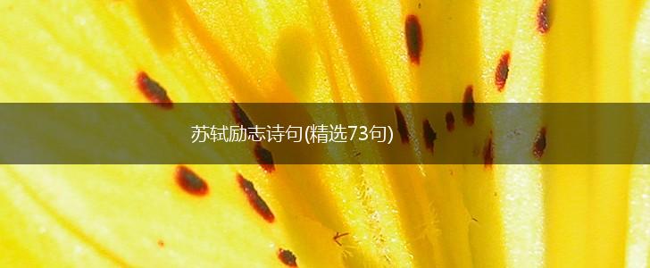 苏轼励志诗句(精选73句),第1张 苏轼励志诗句(精选73句),第1张