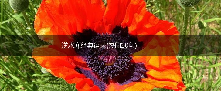 逆水寒经典语录(热门10句),第1张