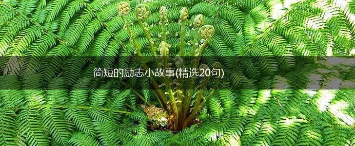 简短的励志小故事(精选20句),第1张 简短的励志小故事(精选20句),第1张