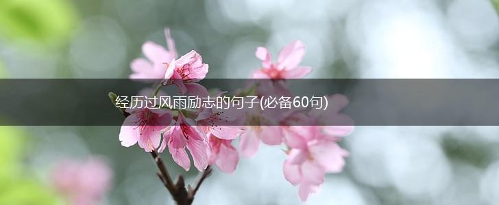 经历过风雨励志的句子(必备60句),第1张 经历过风雨励志的句子(必备60句),第1张