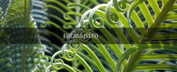 科比励志(51句),第1张