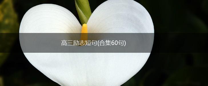 高三励志短句(合集60句),第1张