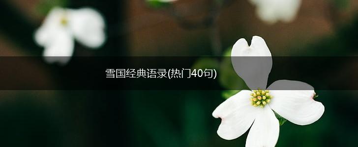 雪国经典语录(热门40句),第1张