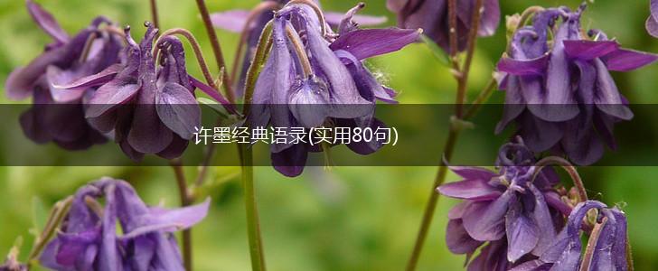 许墨经典语录(实用80句),第1张