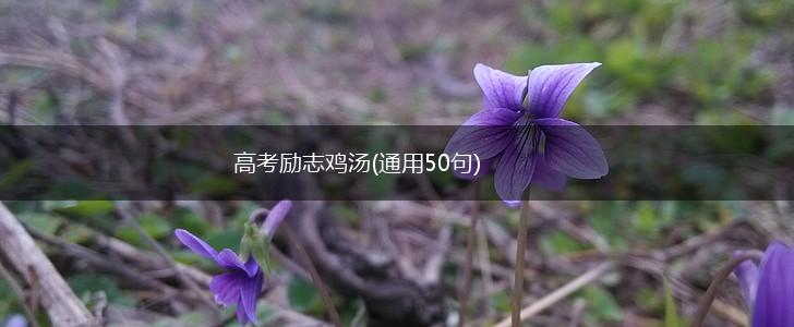 高考励志鸡汤(通用50句),第1张
