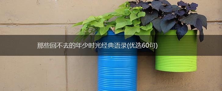 那些回不去的年少时光经典语录(优选60句),第1张