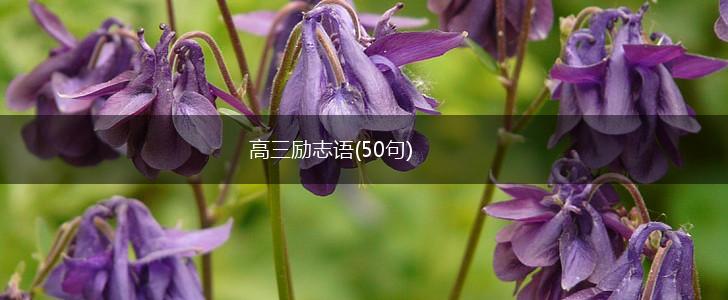 高三励志语(50句),第1张