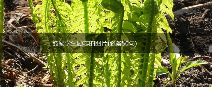 鼓励学生励志的图片(必备50句),第1张