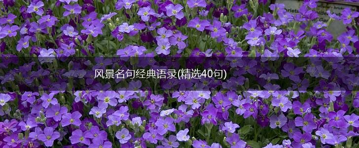 风景名句经典语录(精选40句),第1张