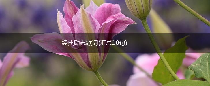 经典励志歌词(汇总10句),第1张 经典励志歌词(汇总10句),第1张