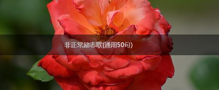 非正常励志歌(通用50句),第1张