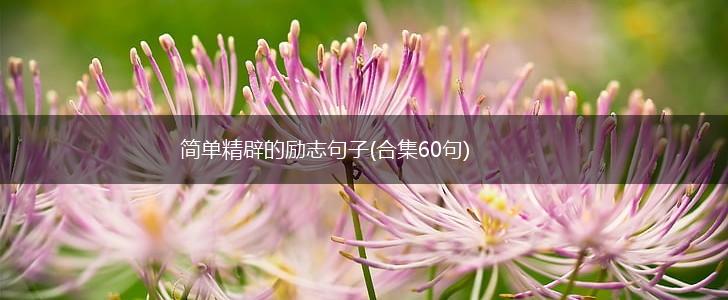 简单精辟的励志句子(合集60句),第1张 简单精辟的励志句子(合集60句),第1张