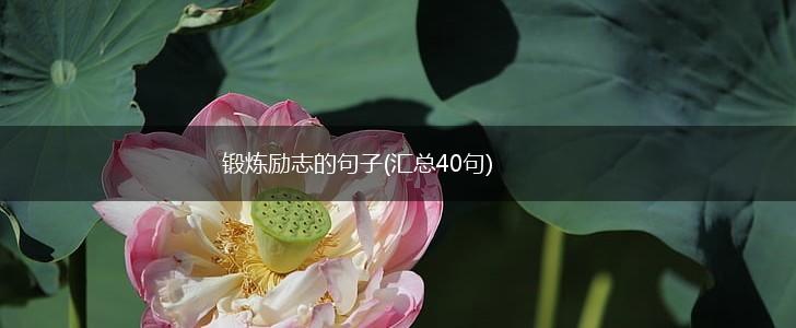 锻炼励志的句子(汇总40句),第1张