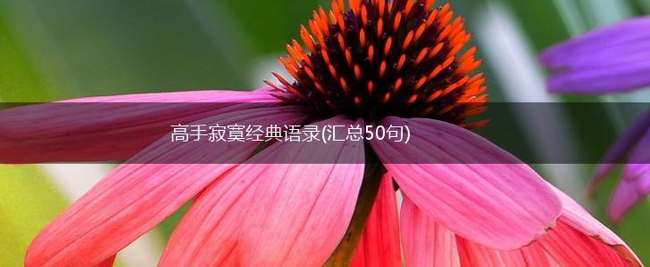 高手寂寞经典语录(汇总50句),第1张