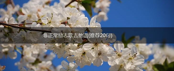 非正常励志歌吉他谱(推荐20句),第1张