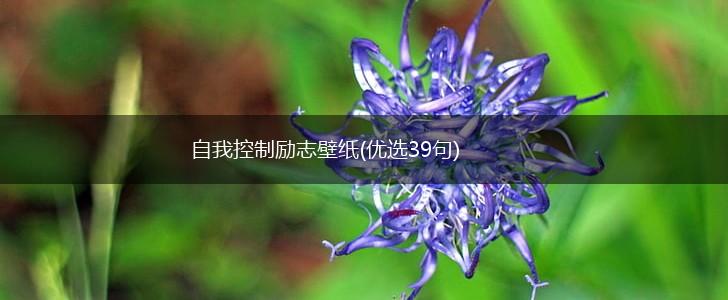 自我控制励志壁纸(优选39句),第1张