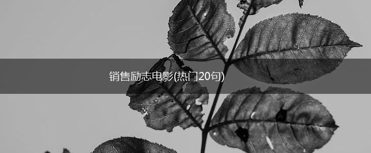 销售励志电影(热门20句),第1张