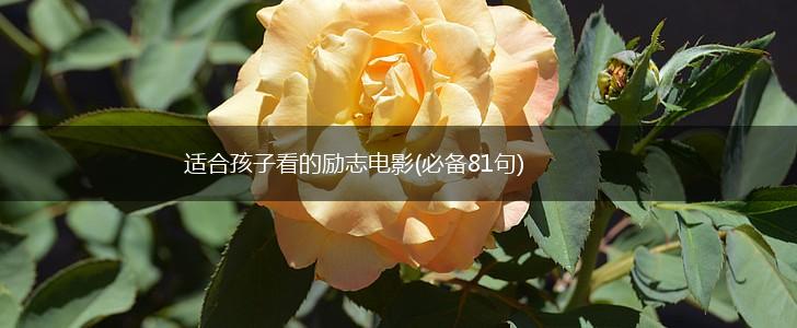 适合孩子看的励志电影(必备81句),第1张