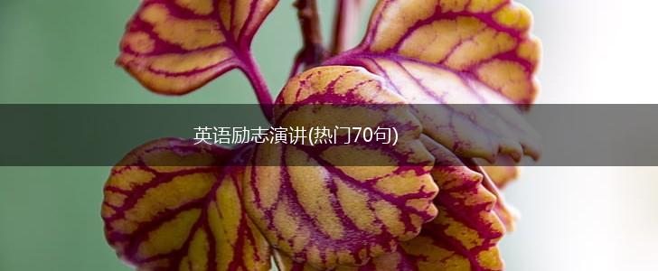英语励志演讲(热门70句),第1张