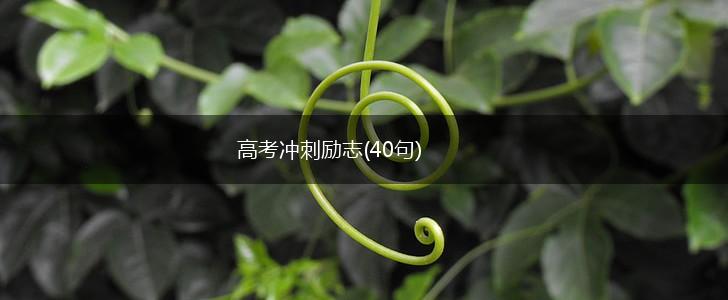 高考冲刺励志(40句),第1张