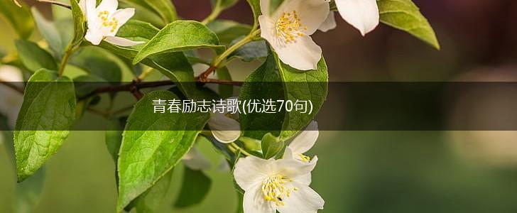 青春励志诗歌(优选70句),第1张