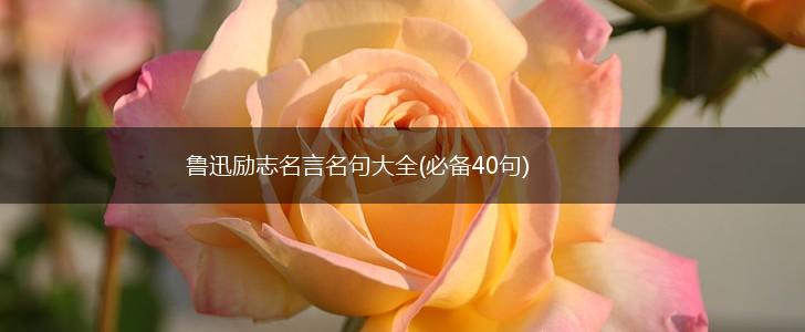 鲁迅励志名言名句大全(必备40句),第1张