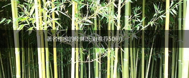 著名作家的经典语录(推荐50句),第1张