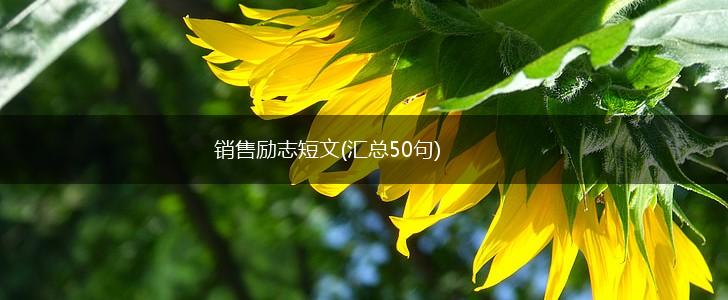 销售励志短文(汇总50句),第1张