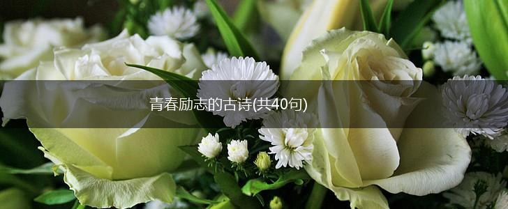 青春励志的古诗(共40句),第1张
