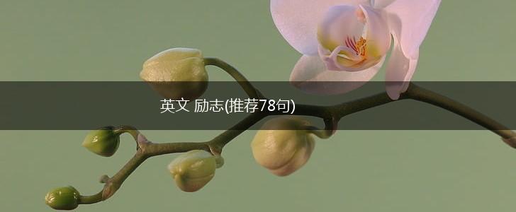 英文 励志(推荐78句),第1张