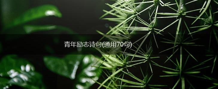 青年励志诗句(通用70句),第1张