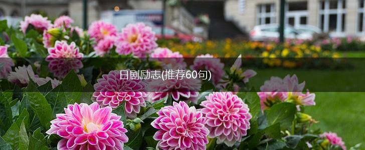 日剧励志(推荐60句),第1张