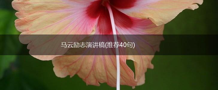 马云励志演讲稿(推荐40句),第1张