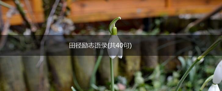 田径励志语录(共40句),第1张
