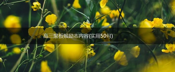 高三黑板报励志内容(实用50句),第1张