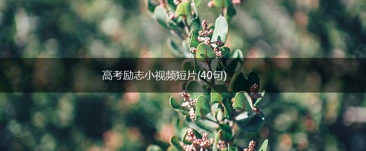 高考励志小视频短片(40句),第1张