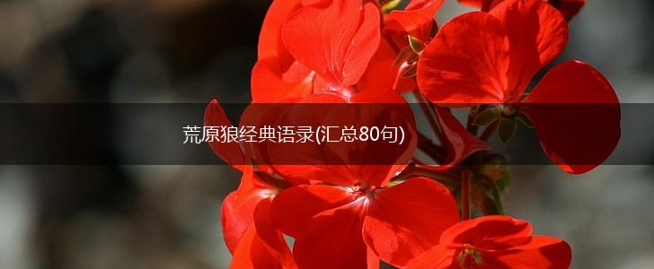 荒原狼经典语录(汇总80句),第1张