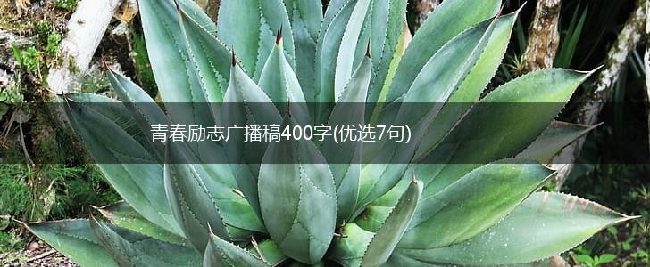 青春励志广播稿400字(优选7句),第1张