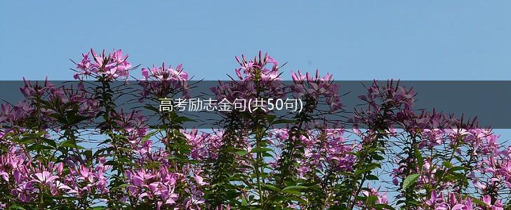 高考励志金句(共50句),第1张