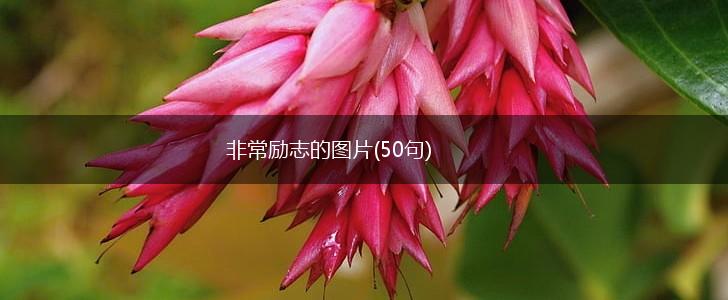 非常励志的图片(50句),第1张