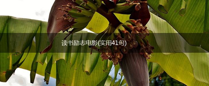 读书励志电影(实用41句),第1张