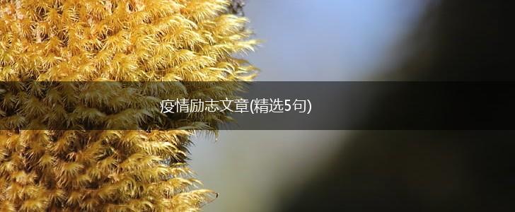 疫情励志文章(精选5句),第1张 疫情励志文章(精选5句),第1张