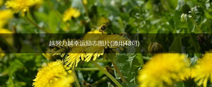 越努力越幸运励志图片(通用48句),第1张