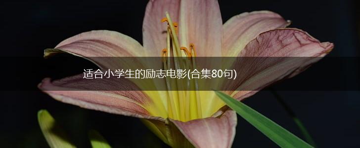 适合小学生的励志电影(合集80句),第1张