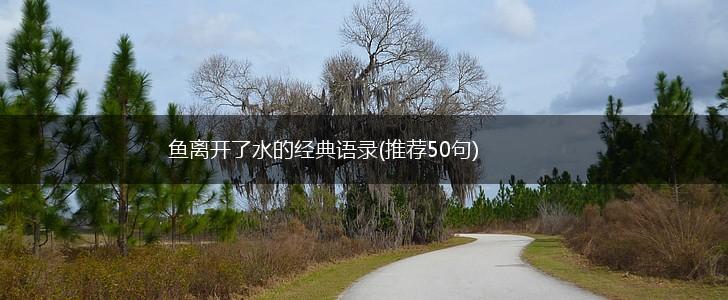 鱼离开了水的经典语录(推荐50句),第1张
