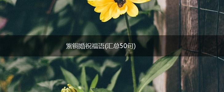 紫铜婚祝福语(汇总50句),第1张