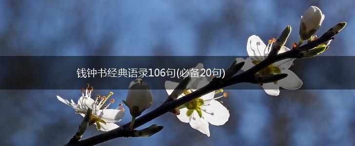 钱钟书经典语录106句(必备20句),第1张