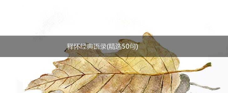 释怀经典语录(精选50句),第1张