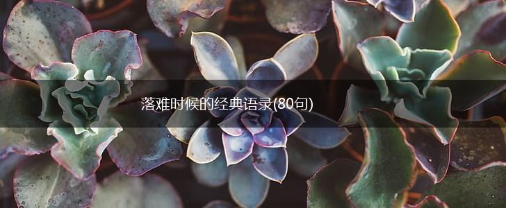 落难时候的经典语录(80句),第1张